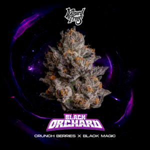 Wizard Trees Black Orchard Seeds Crunch Berries Black Magic