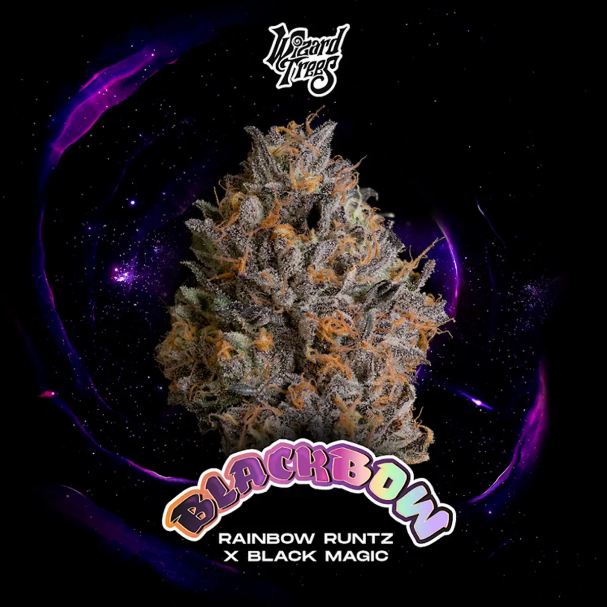 Wizard Trees - Black Bow (Rainbow Runtz x Black Magic)