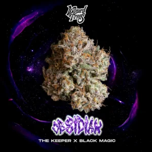Wizard Trees - Obsidian (The Keeper x Black Magic)