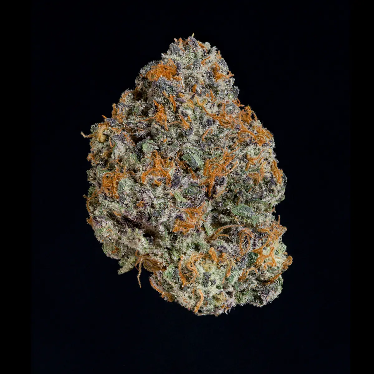 Wizard Trees - Potion (Dark Matter x Black Magic) – Bild 3