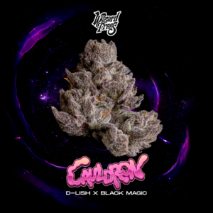 Wizard Trees Cauldron Seeds D Lish Black Magic