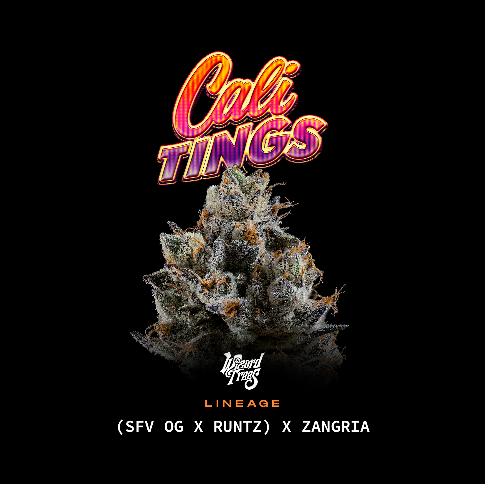 Wizard Trees – Cali Tings (SFV OG x Runtz) x Zangria