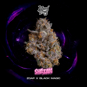 Shazam Samen von Wizard Trees