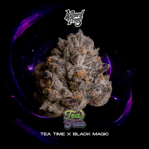 Wizard Trees Tea Tree feminisierte Cannabis Samen