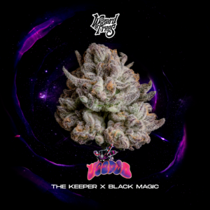 Voodoo Samen von Wizard Trees feminisierte Cannabis Samen
